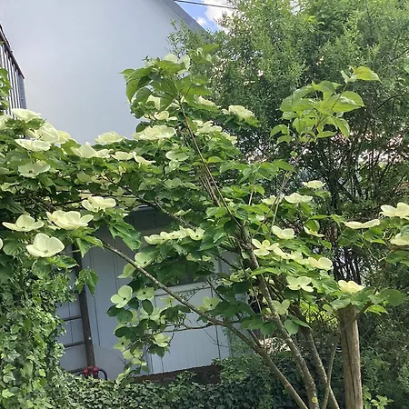 Im Grünen Bereich Pfullingen